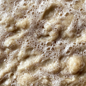 Food and Art altMA Online Only - 1 year